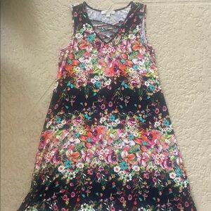 Spense Pink and Blue Sleeveless V-Neck Sundress